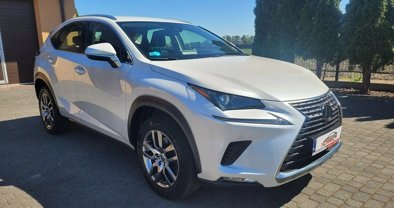 Lexus NX cena 138900 przebieg: 49474, rok produkcji 2019 z Kraśnik małe 781